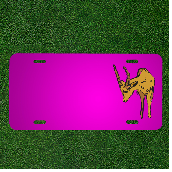 Custom Personalized Car License Plate With Add Names To Antelope Curious