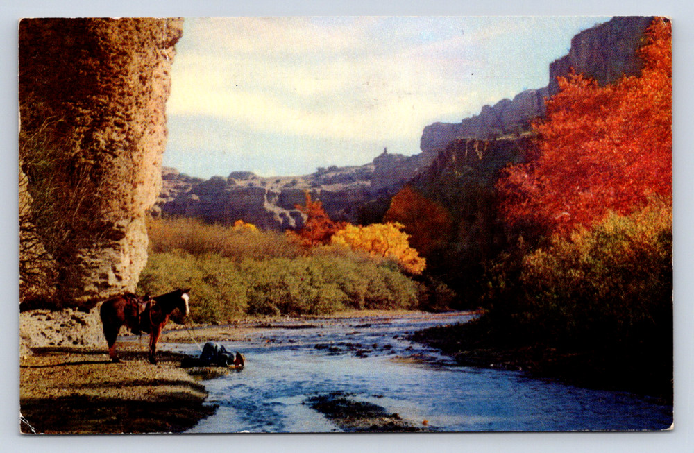 Vintage Postcard Van Nuys California Rembrant Post Card