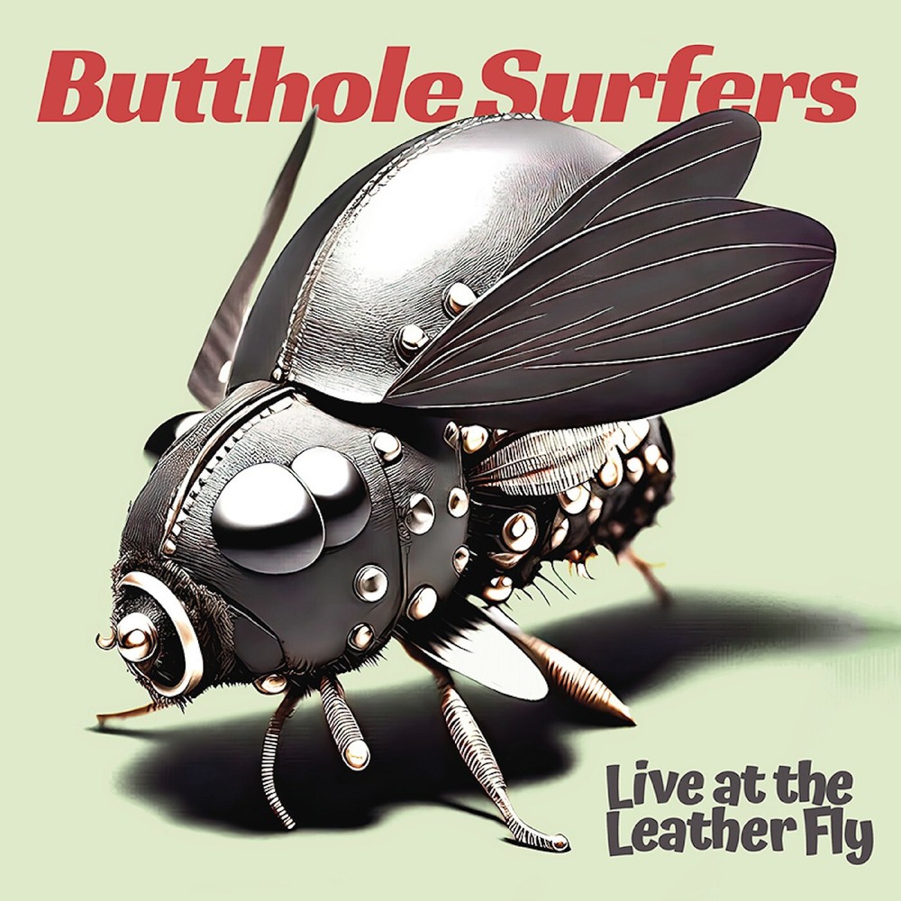 Butthole Surfers Live at the Leather Fly (CD) AlbumAnother great item from Rarewaves USA | Free delivery!