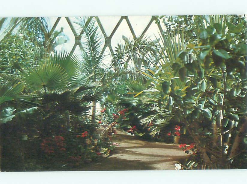 Pre-1980 GARDEN SCENE Denver Colorado CO m/09 AF6545@