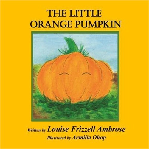 The Little Orange Pumpkin (Paperback or Softback)