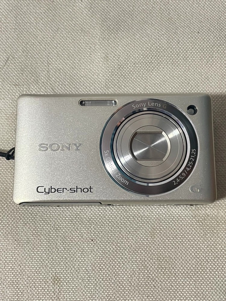 Sony Cyber-shot DSC-W380 14.1 MP silver Digital Camera 5x Optical Zoom English