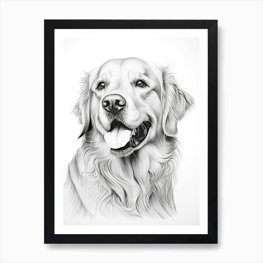 Golden Retriever Dog, Line Drawing  Framed Wall Art Poster Canvas Print Picture