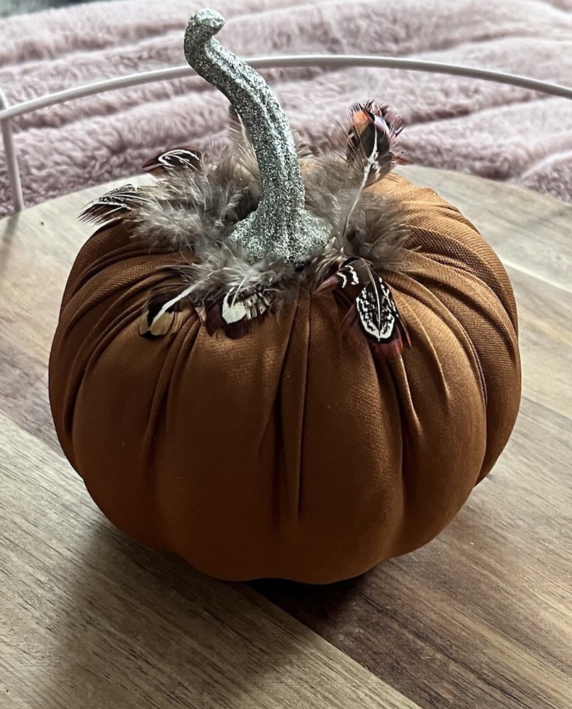 Fabric Pumpkin Feather Fall Autumn Home Decor Bronze 5”x7”