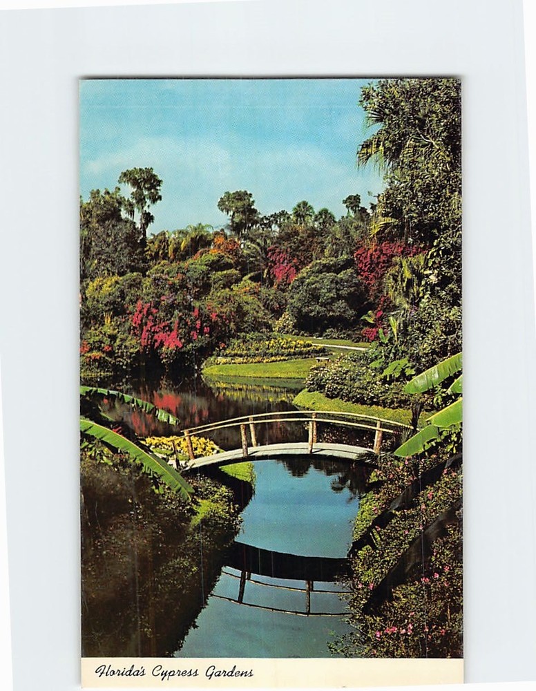Postcard Scenic View in Cypress Gardens Florida USA