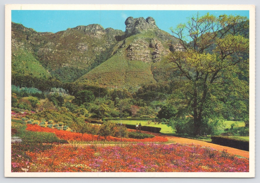 Foreign~Cape Town South Africa~Natl Botanical Gardens~Castle Rock~Continental PC
