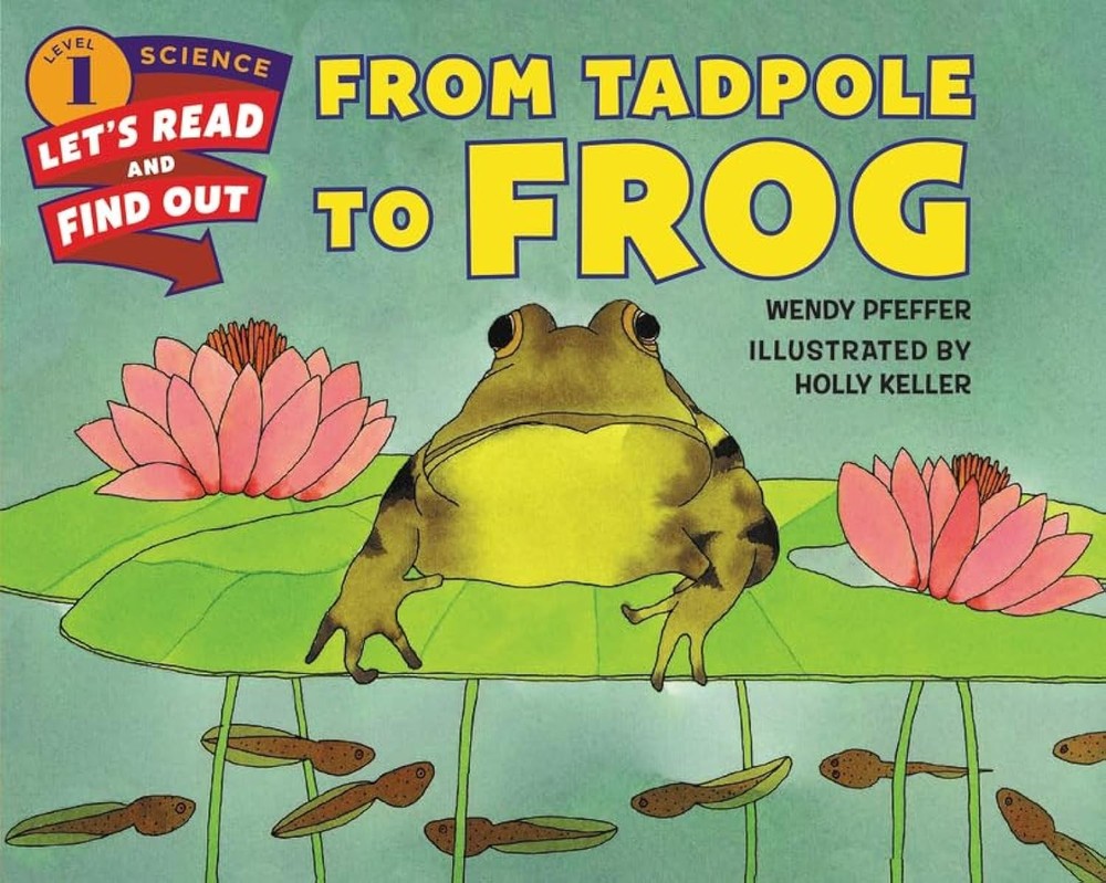 From Tadpole to Frog: An Illustrated Nonfiction Book About Metamorphosis for...