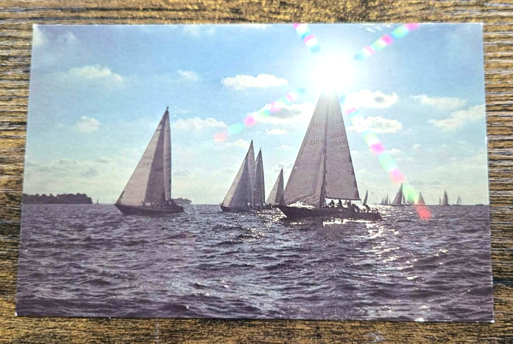 1960s Put-in-Bay Ohio Regatta Time on Lake Erie Vintage Postcard