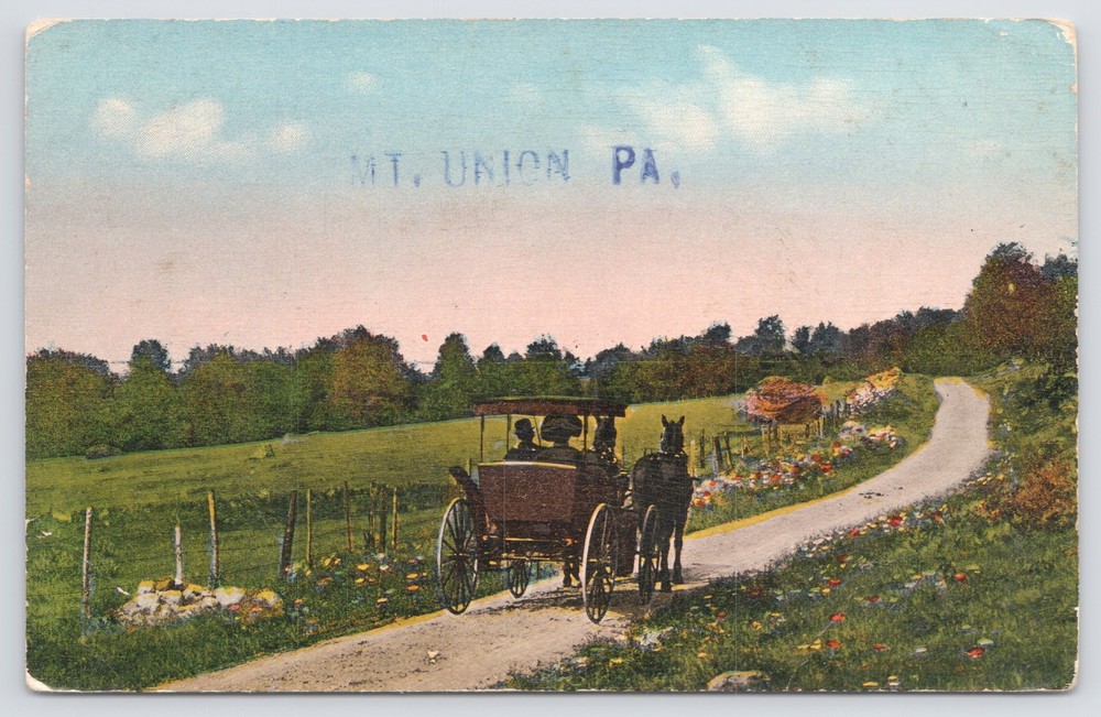 Animal~Horse Drawn Carriage By Field Mt Union PA~Vintage Postcard
