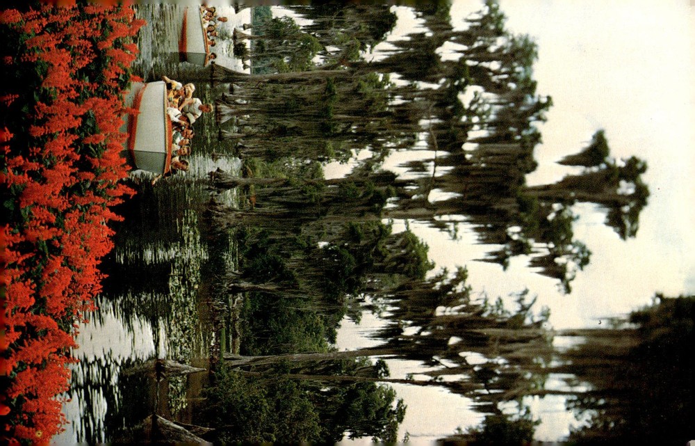 1970s Cypress Gardens Winter Haven Florida Sightseeing Boats Chrome Postcard