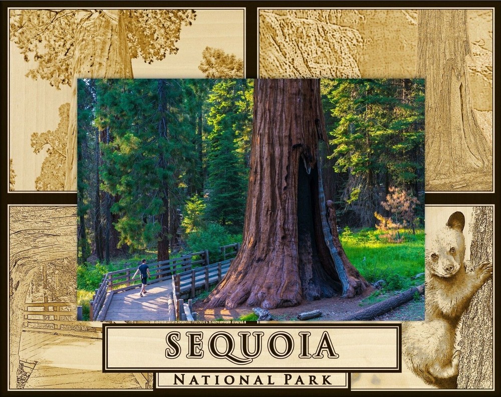 Sequoia National Park Laser Engraved Wood Picture Frame Landscape (4 x 6)
