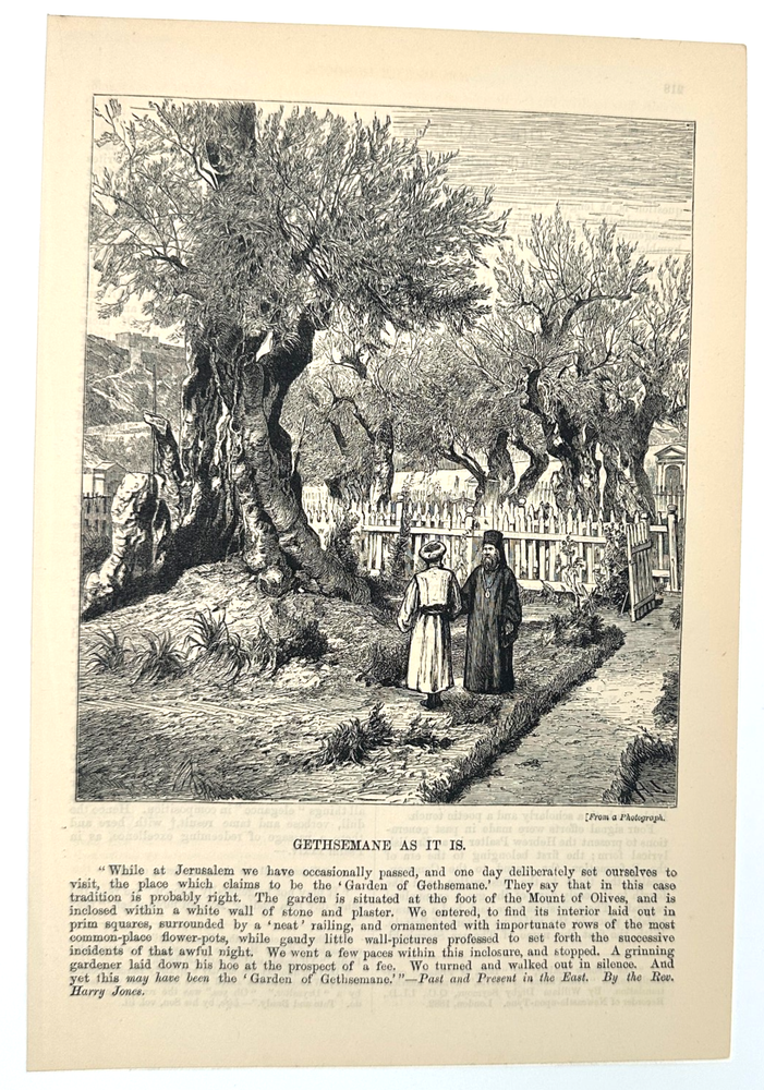 Antique Engraving – “Cemeteries as it Is” – Victorian Woodcut Print