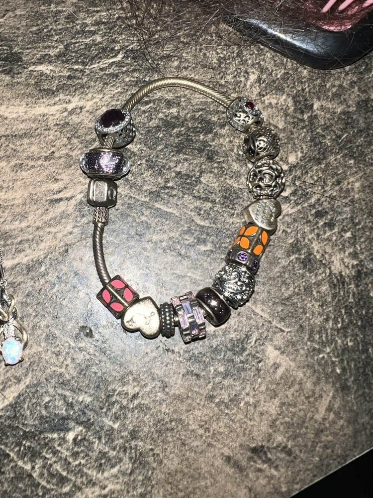 Pandora Charm Bracelet with Customizable Beads