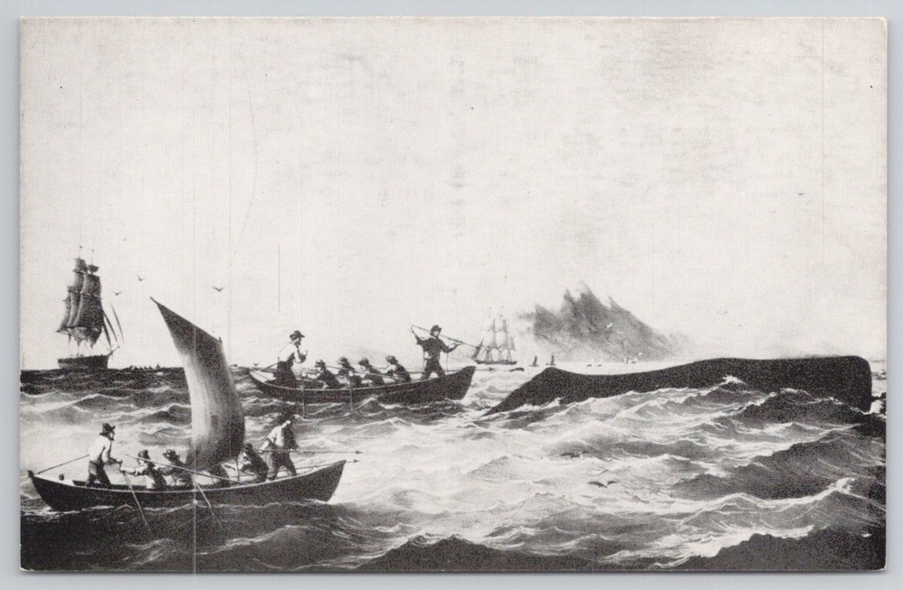 Vintage Whaling Museum Postcard - New Bedford, MA - Whalers & Whale Art