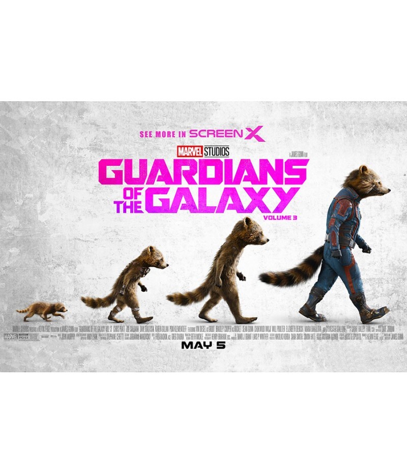 Guardians of the Galaxy Vol 3 ScreenX Official Movie Poster Decor without Frame