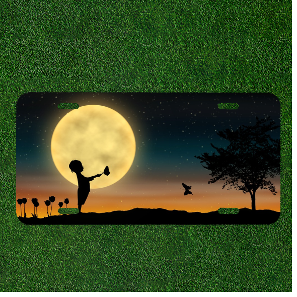 Custom Personalized License Plate Auto Tag With Baby Boy By Moon And Butterfly