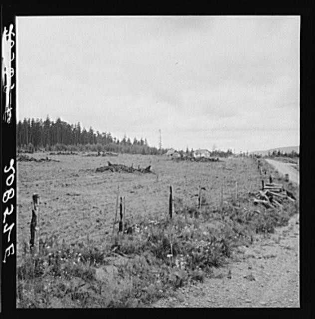 Thurston County,Washington,WA,Farm Security Administration,FSA,Dorothea Lange