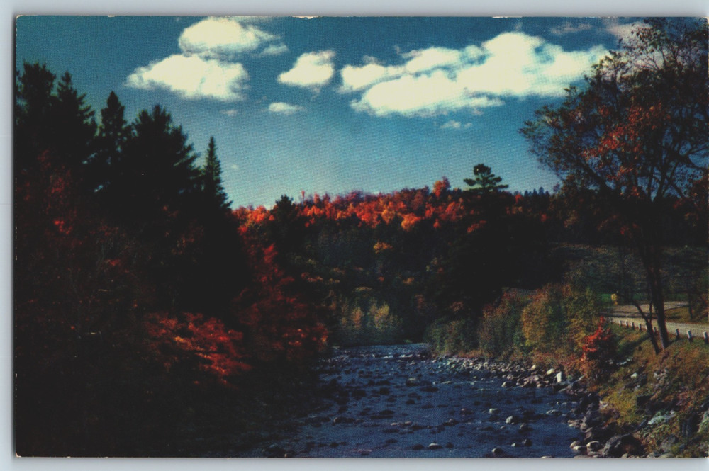 VT Central Vermont in October Autumn Trees and River Chrome Postcard