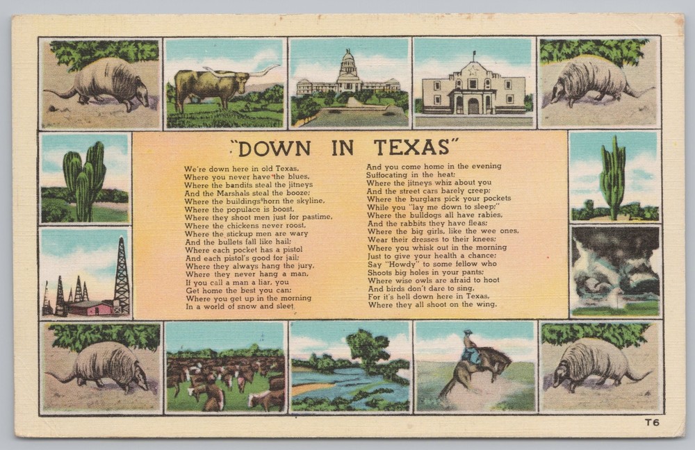 Linen~Down in Texas & Multi Mini Views~Animals~Vintage Postcard