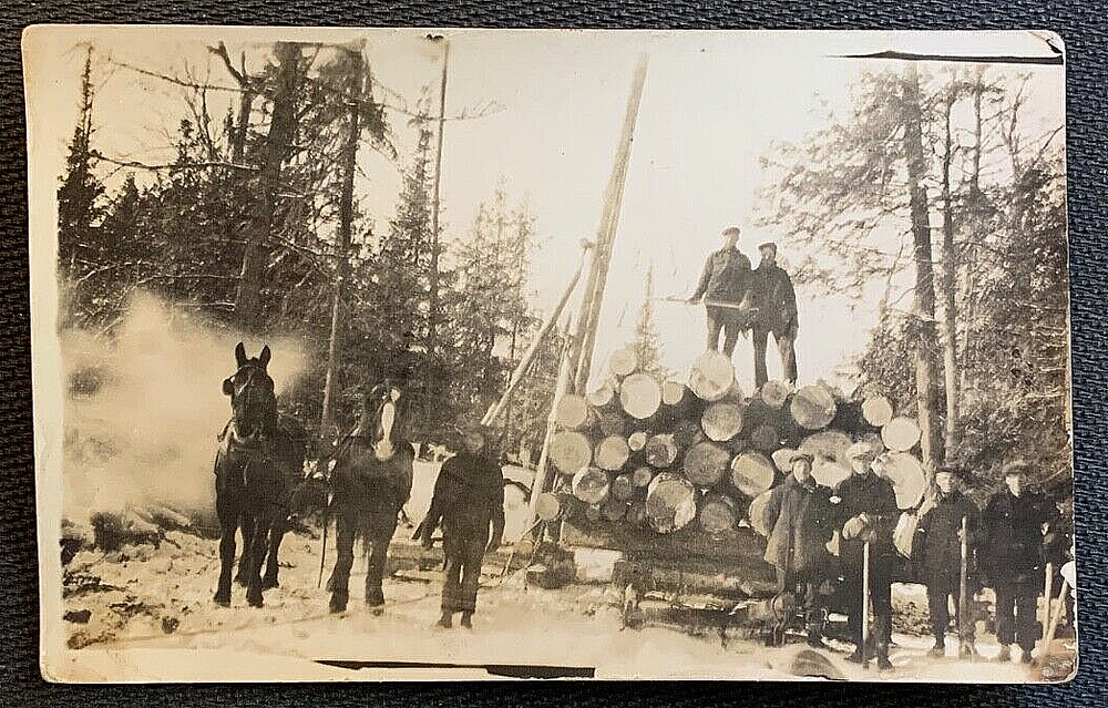 ANTIQUE WA State Loggers Lumberjacks w Horses Cut Log Real Picture RPPC Postcard