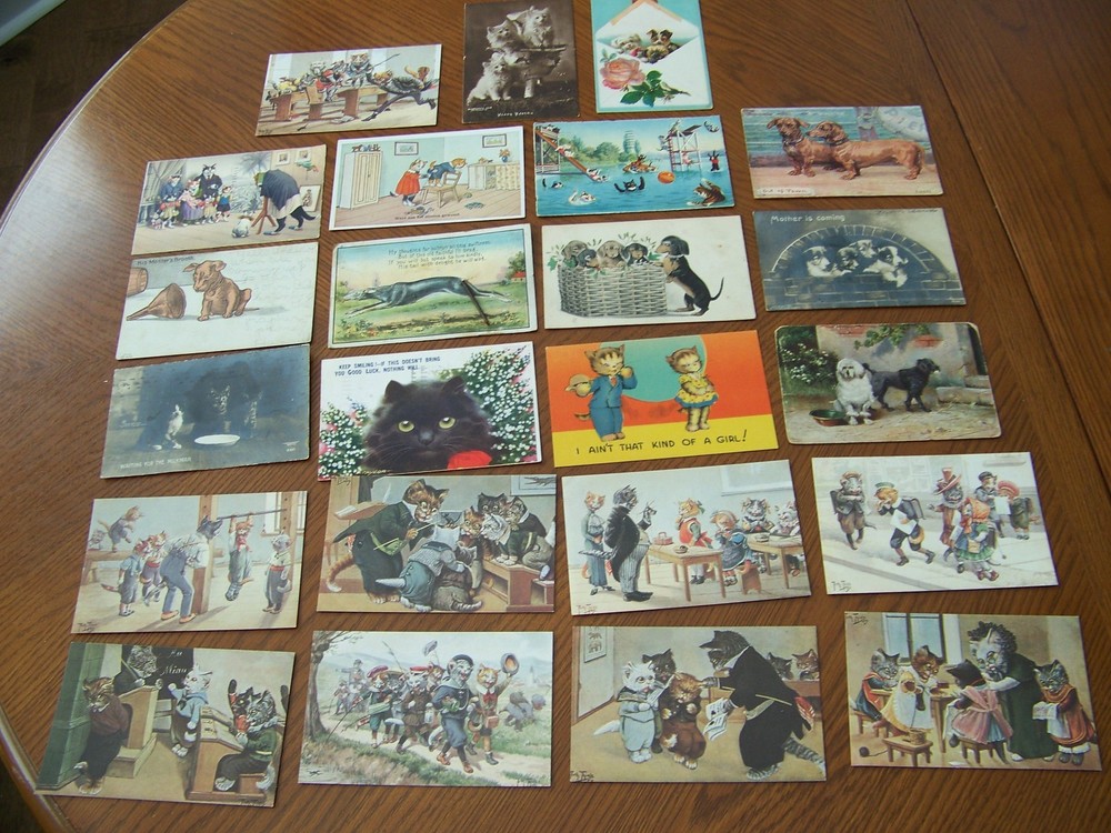 Cat and Dog Postcards Real Photo's Humor Signed Neat Collection 23 Total