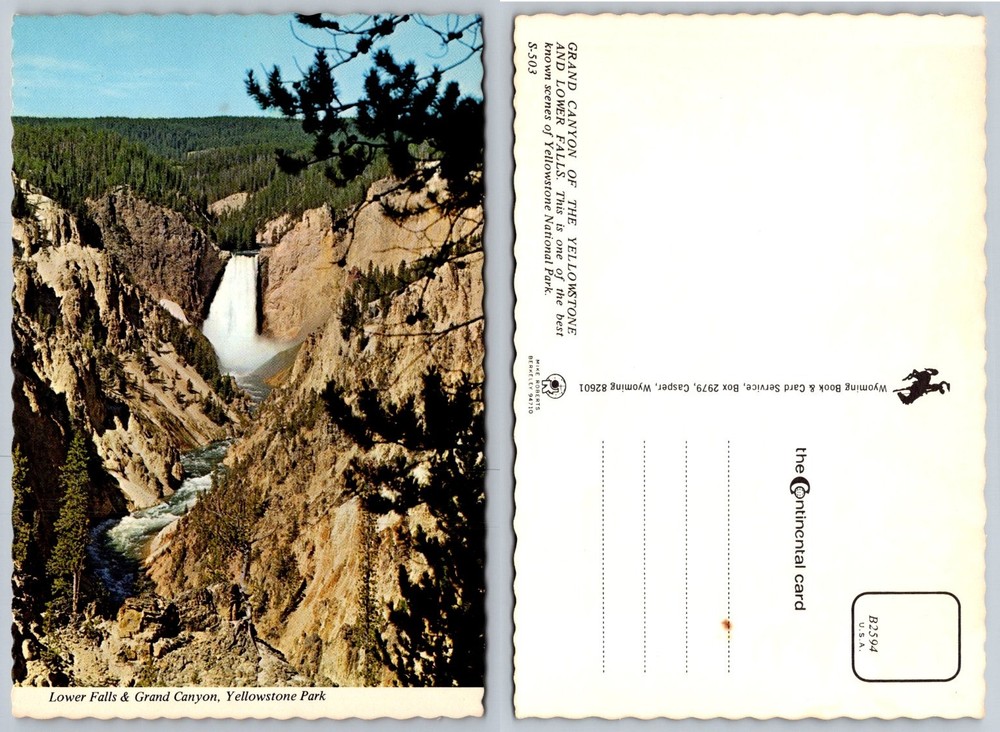 Yellowstone National Park Lower Falls Grand Canyon Continental Postcard