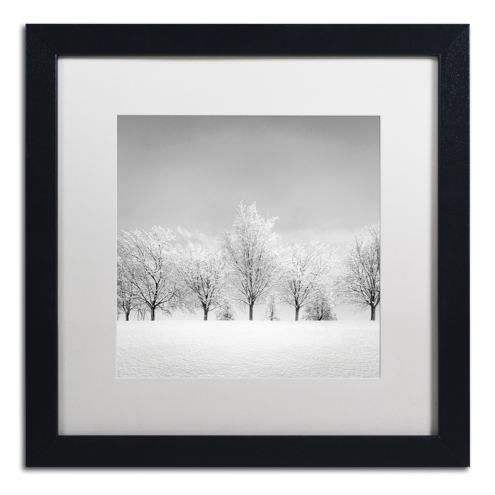 Ice Storm by Dave MacVicar Frame, 16 by 16