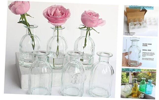 Bud Vases Set of Small Glass Vase for Flowers Vase Set for Wedding 6 Clear
