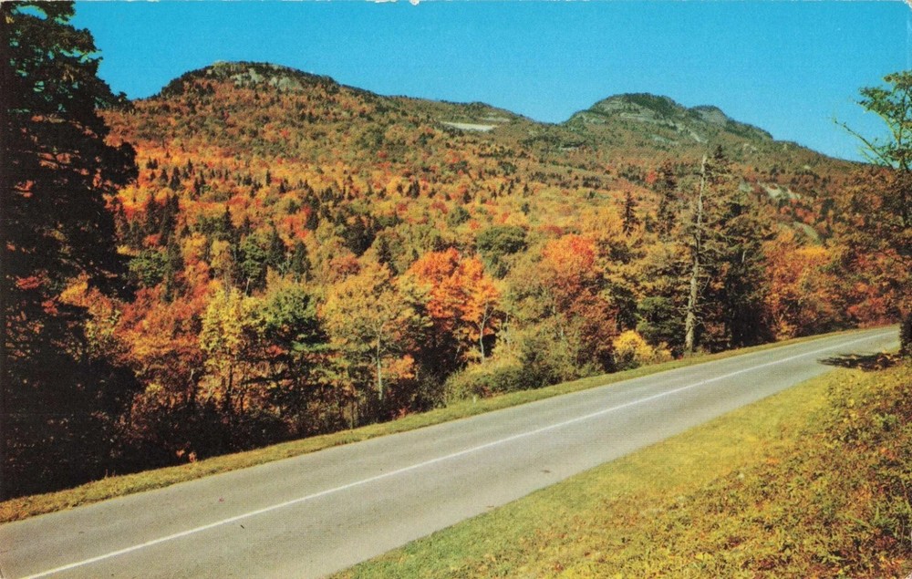 Autumn Scene Blue Ridge Parkway Grandfather Mountain North Carolina NC Postcard