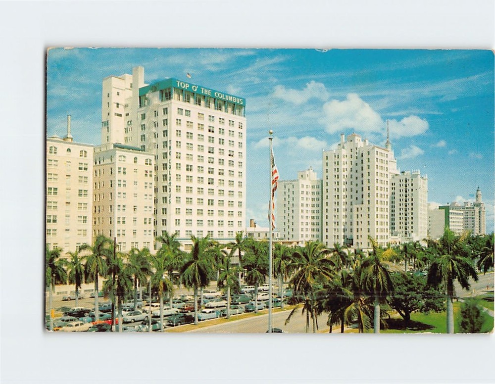 Postcard Palm lined Biscayne Boulevard Miami Florida USA