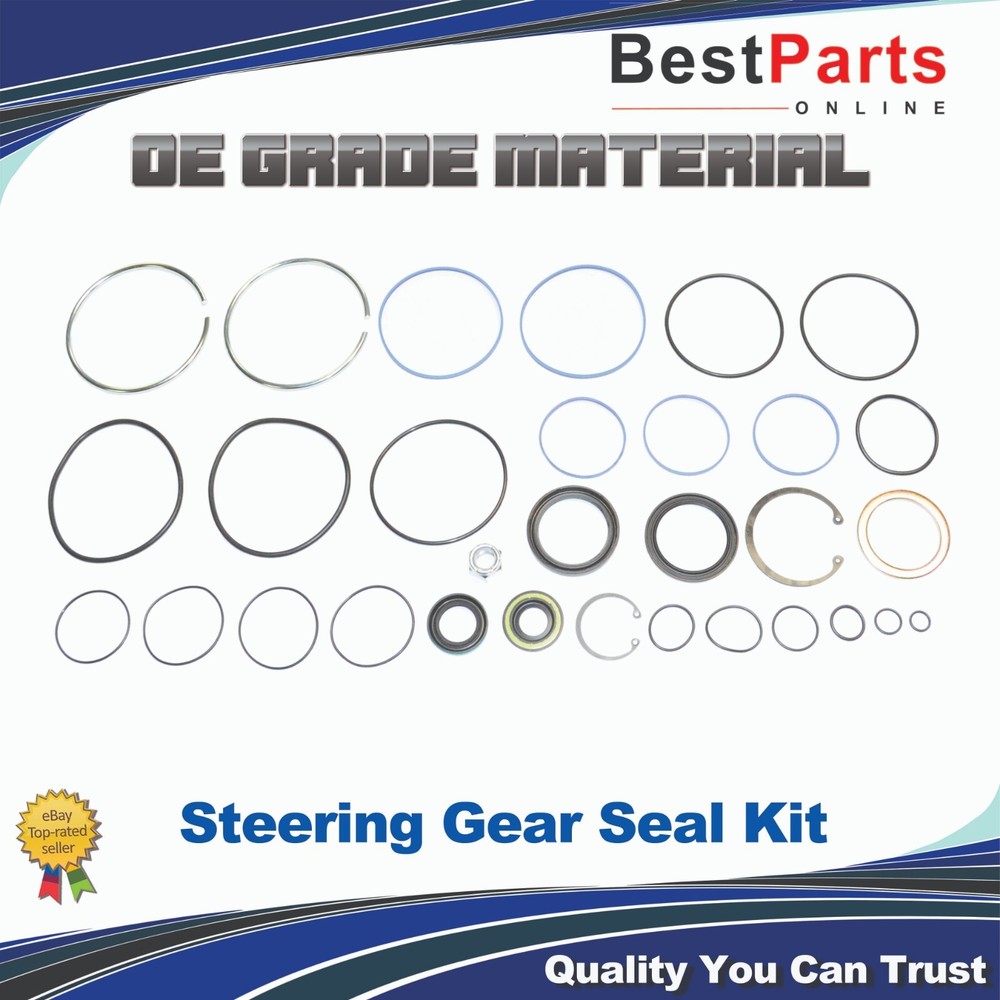 Steering Gear Seal Kit for SAGINAW Gear Seal Kit Dual Piston Model 710 Metric