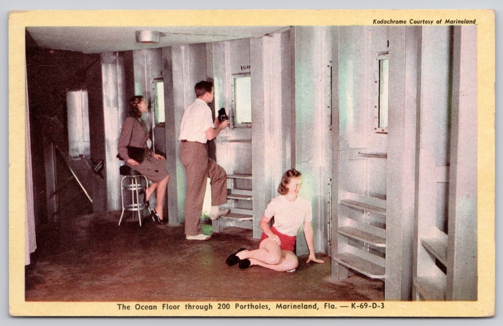 Marineland Florida FL Marine Studios Oceanarium Film Studio Postcard c1950s