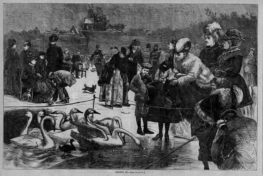Antic Engraving of Children Feeding Swans Ducks and Dogs