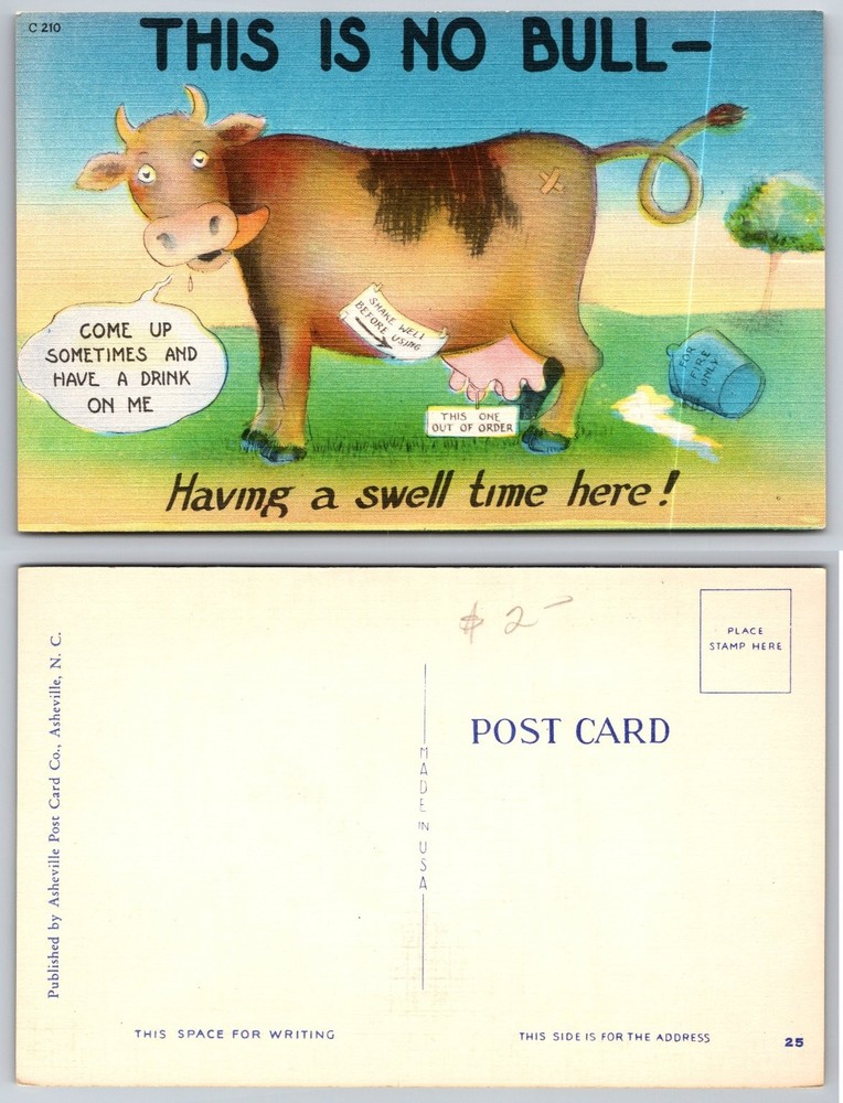 Vintage Linen Postcard Funny Cartoon Cow This is No Bull Asheville NC