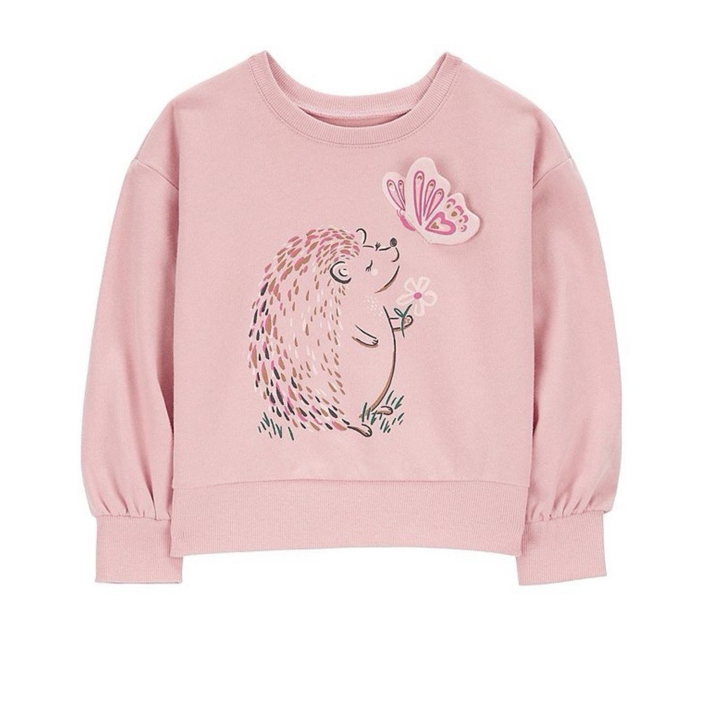 Carter’s Sweatshirt Baby Girls 24M Pink Hedgehog Butterfly Pullover Top Cozy EUC