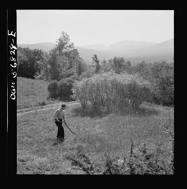 Photo:Man Mowing Field Mountains 1930s 1940s Landscape Photograph