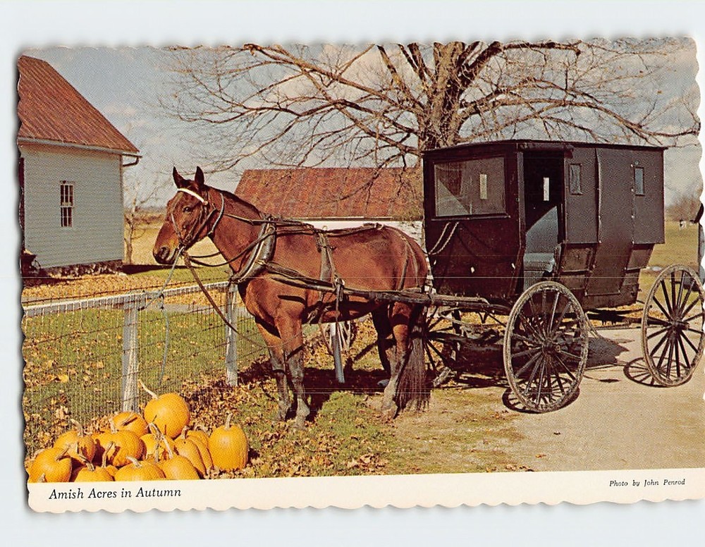 Postcard Amish Acres in Autumn Nappanee Indiana USA