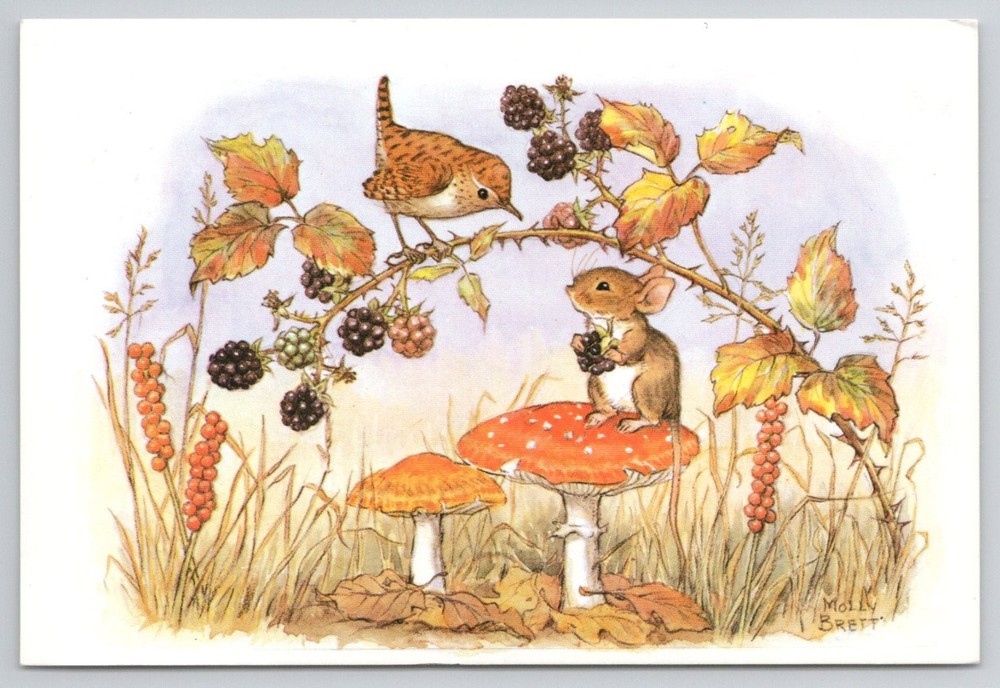 Molly Brett BLACKBERRY TIME Medici Society Art Postcard Wren Mouse Mushroom
