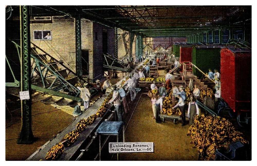 1940s Workers Unloading Bananas New Orleans Louisiana Vintage Postcard