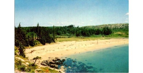 Acadia Maine Sands Beach Postcard Tichnor 1950s View Ocean Drive Bar Harbor-image