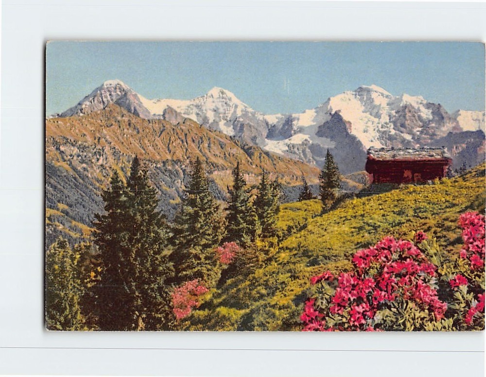 Postcard Eiger Mönch Jungfrau Berner Oberland Switzerland