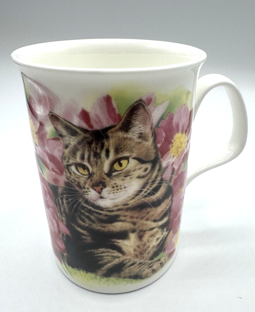Roy Kirkham Just Cats Fine Bone China Coffee Tea Cup Mug England