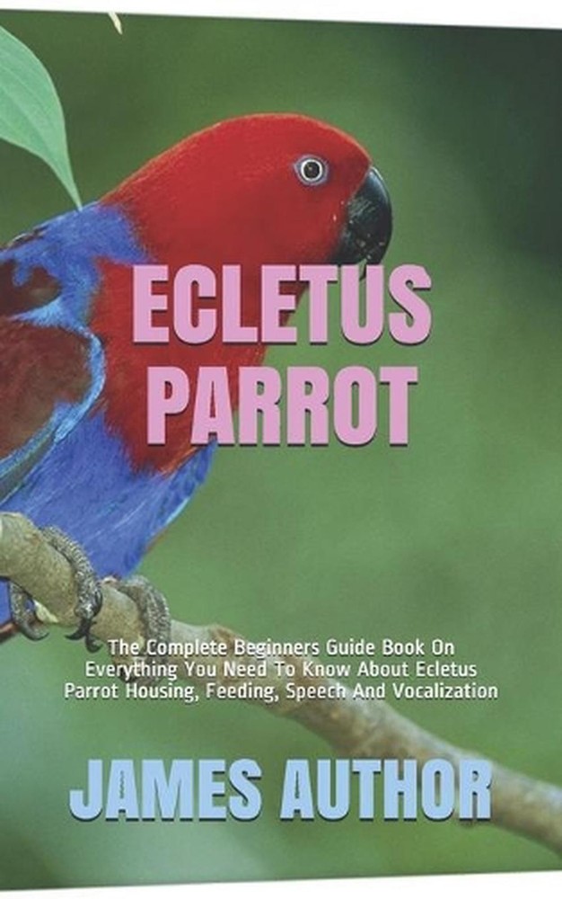Ecletus Parrot: The Complete Beginners Guide Book On Everything You Need To Know