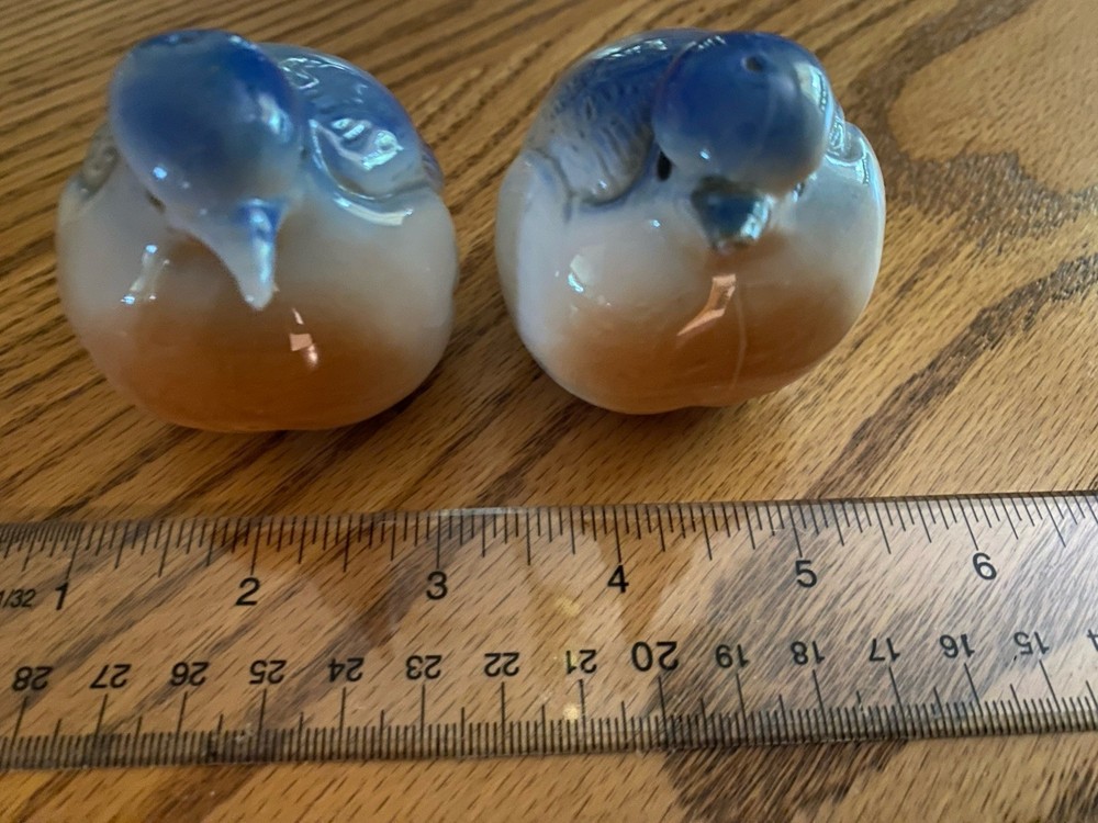 Vintage Blue Birds Salt and Pepper Shakers