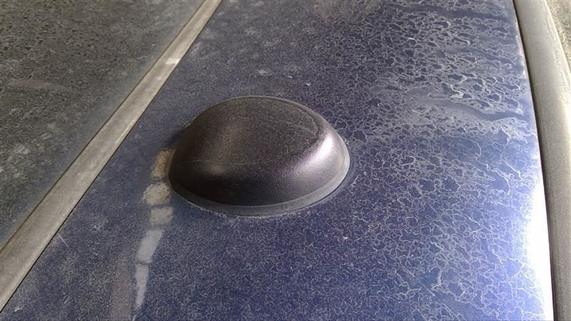 2009 Expedition Replacement Antenna Part 336424