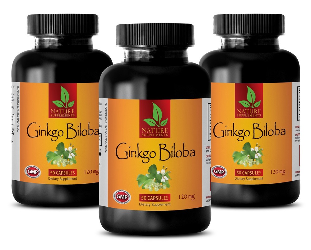 Ginkgo Biloba Enhance Memory - GINKGO BILOBA EXTRACT 120mg - Combat Stress 3B