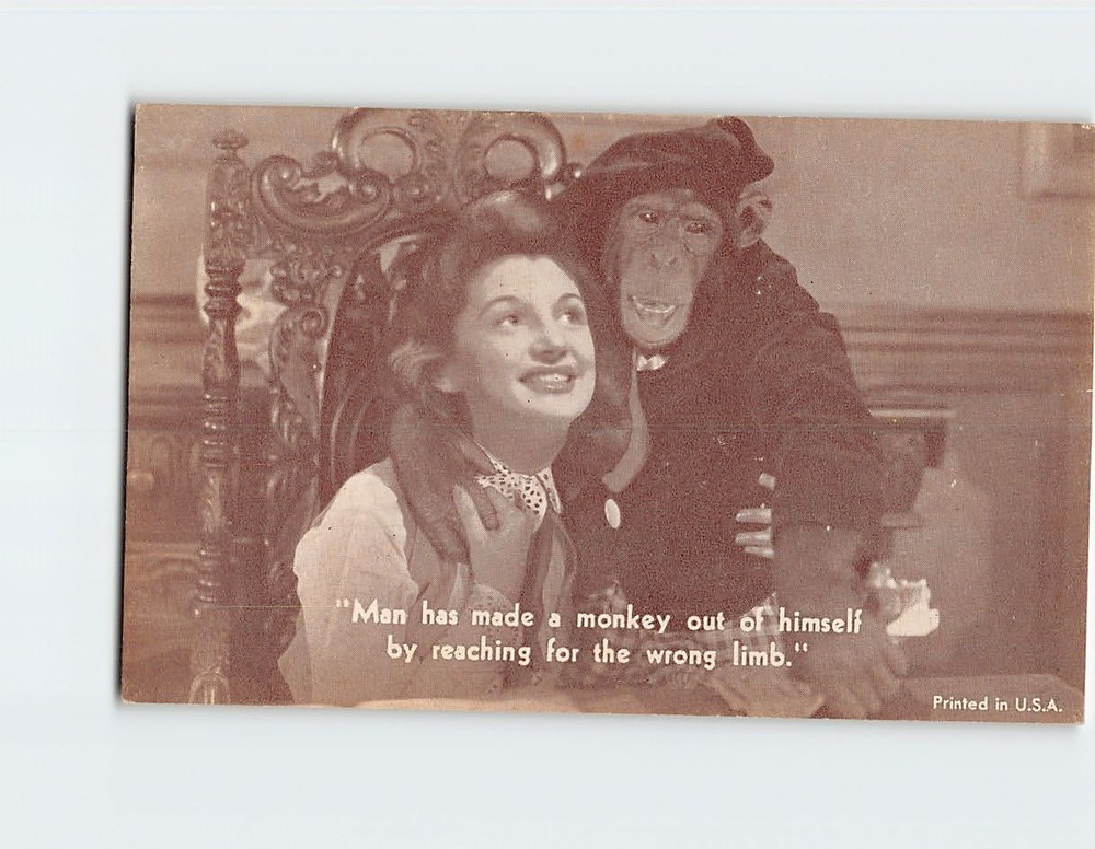 Postcard Chimpanzee Monkey Joke/Humor Anthropomorphic Animal Comic