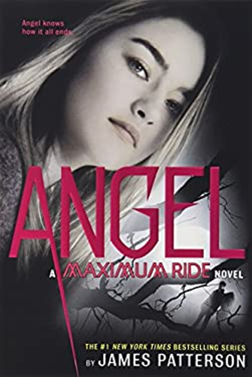 Angel : A Maximum Ride Novel Paperback James Patterson