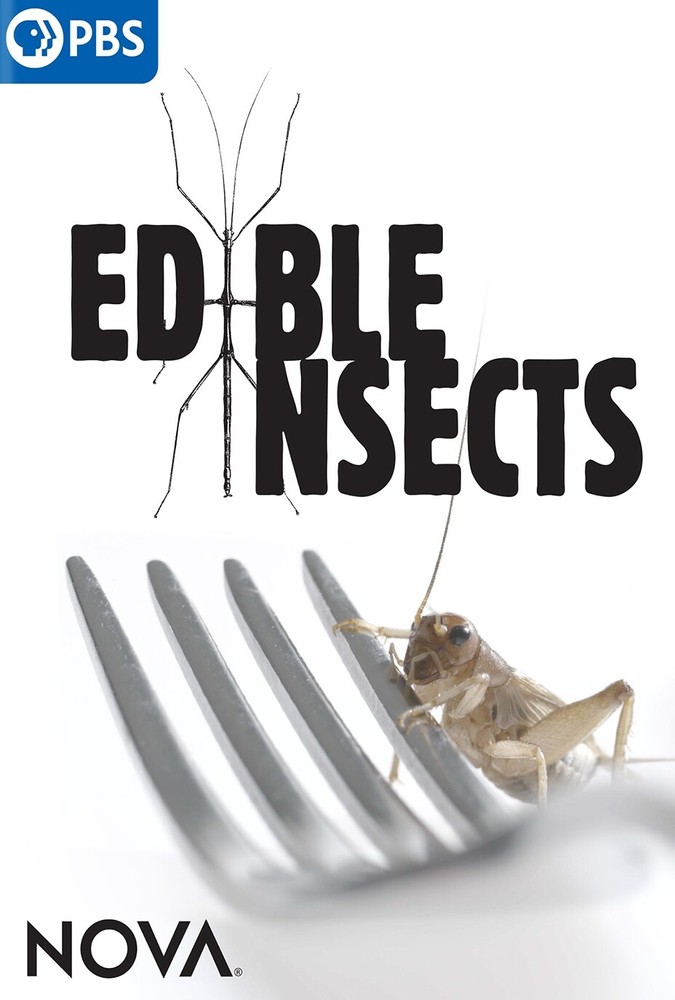 NOVA: EDIBLE INSECTS