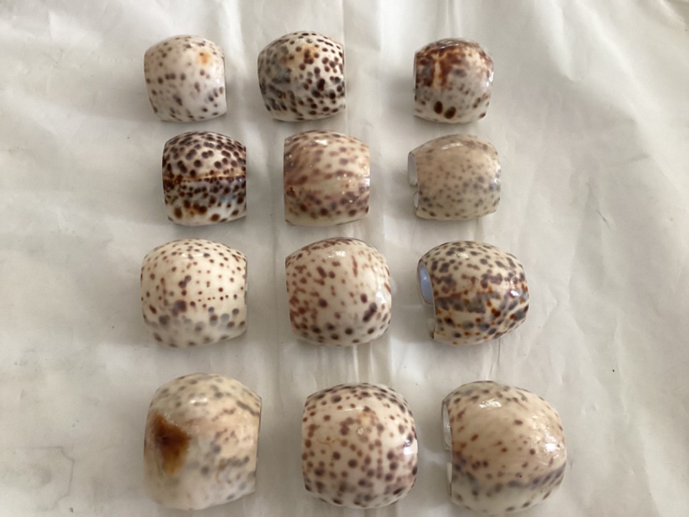 Sea Shell Napkin Ring Holders Set of 12 Sea Shell
